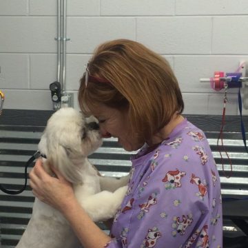 a dog with head touching groomers head