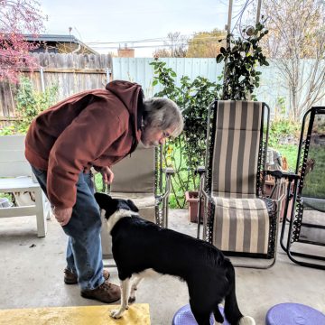 Dog Training Classes in Boise