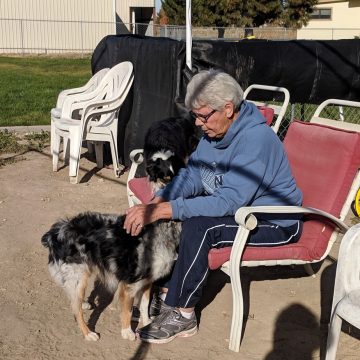 Dog Training Classes in Boise