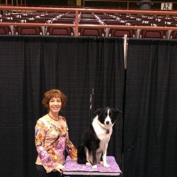 canine training classes idaho
