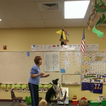 canine training classes idaho