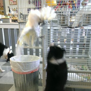 apprentice program idaho