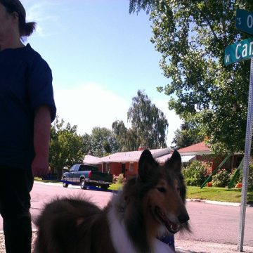 apprentice program idaho