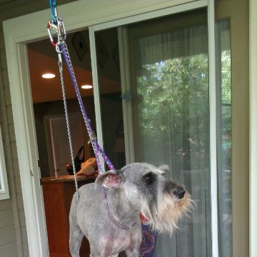 apprentice program idaho