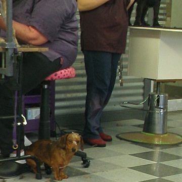 apprentice program idaho