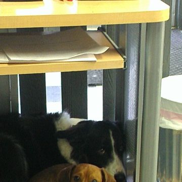 apprentice program idaho