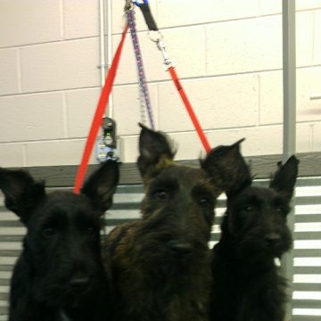 apprentice program idaho