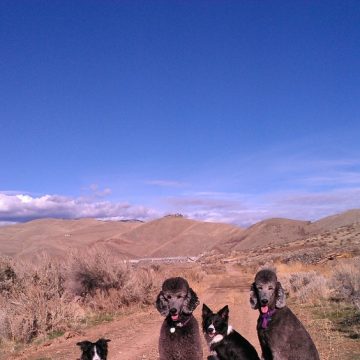 apprentice program idaho