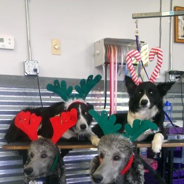 apprentice program idaho