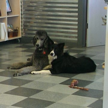 apprentice program idaho