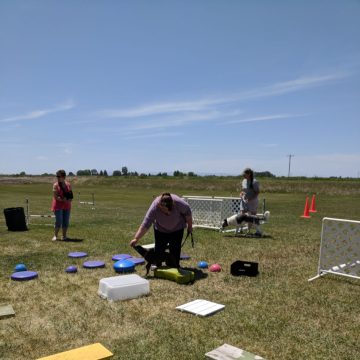 Dog Agility
