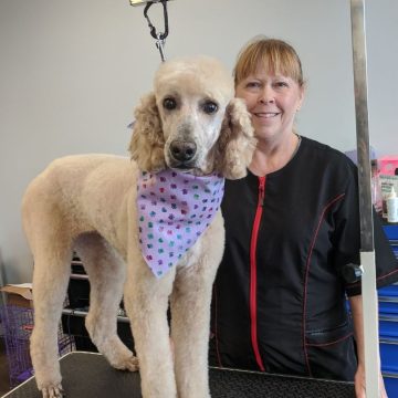 groomer with dog