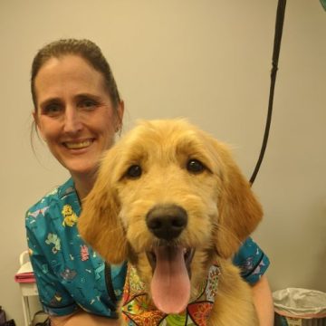 a beige happy dog with groomer